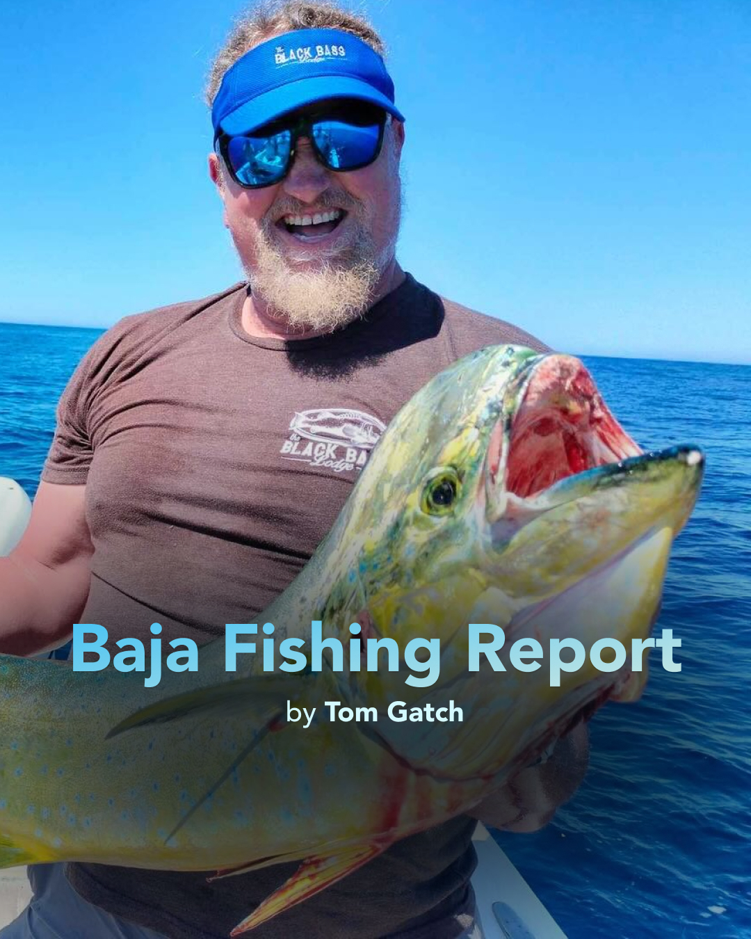 Baja Fishing Report by Tom Gatch