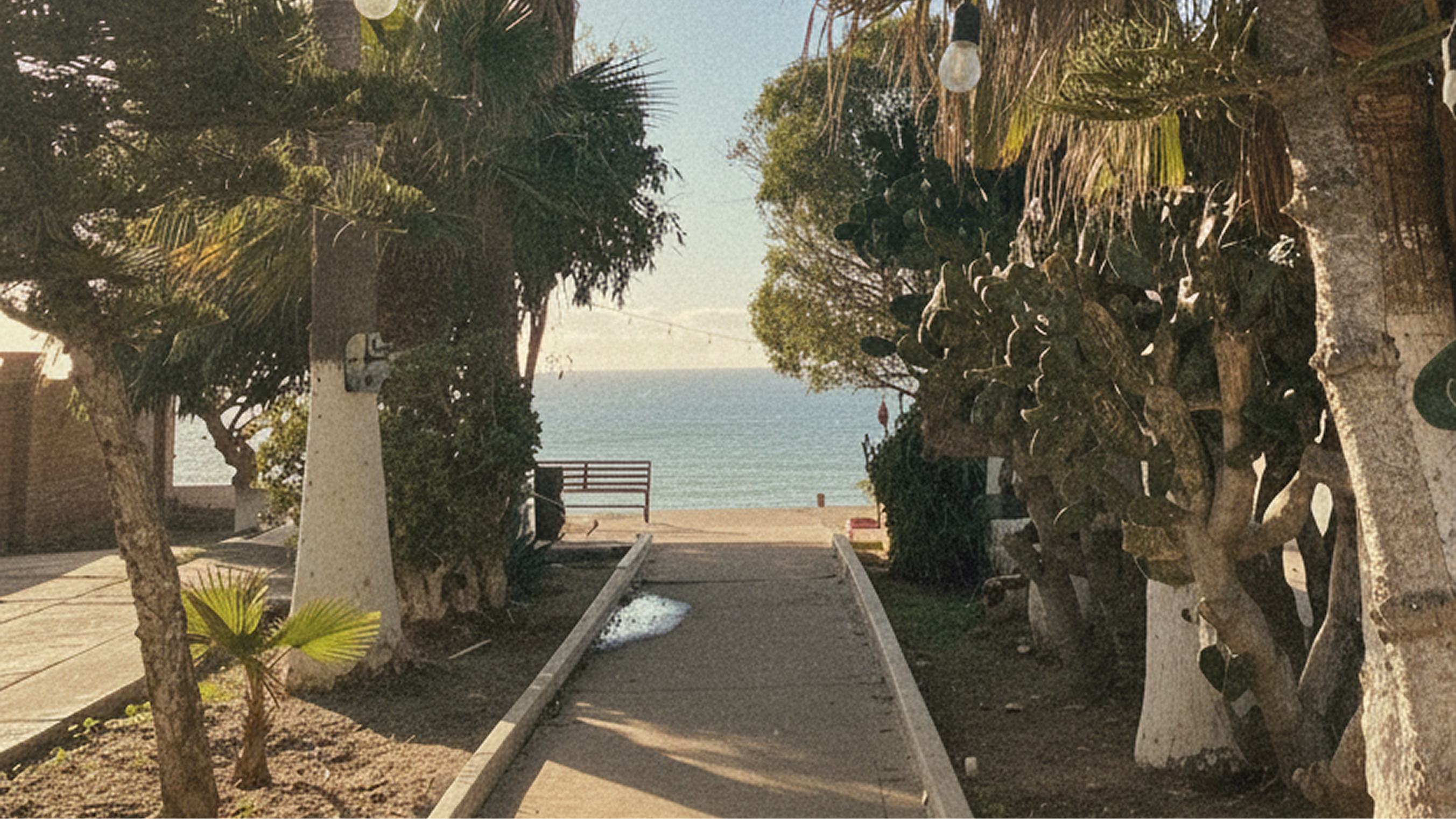 Walkway to La Catrina restaurant in Rosarito