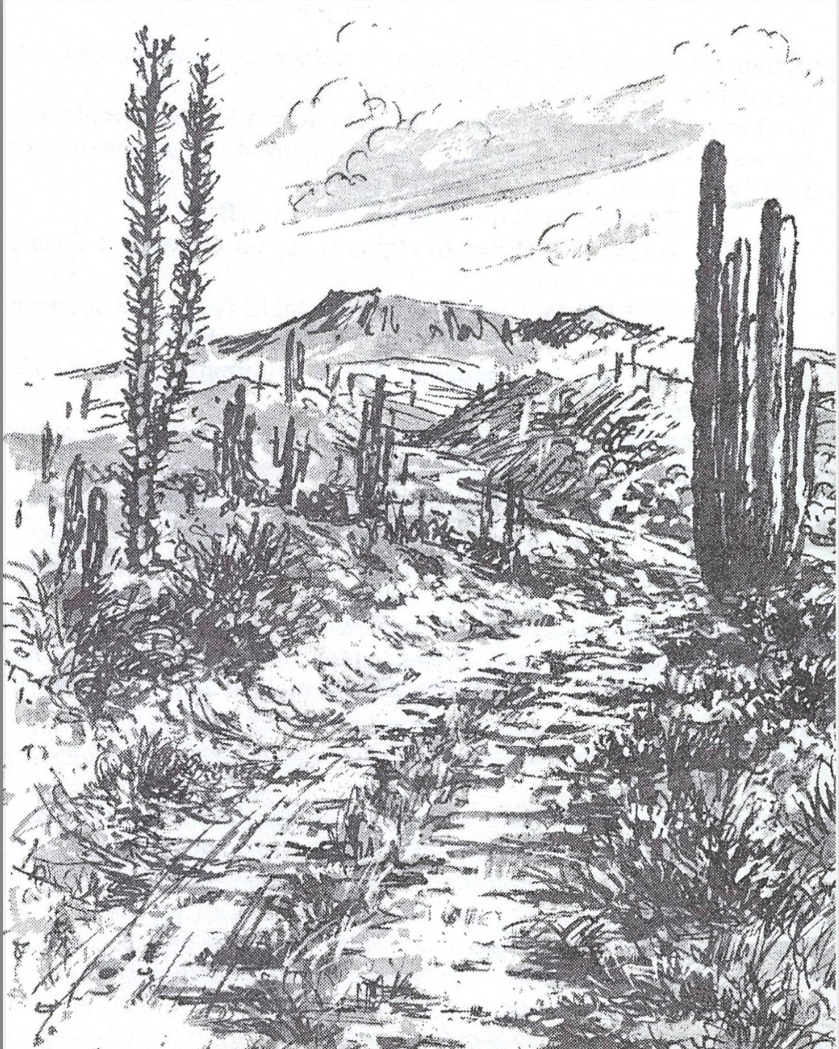 Ben Hunter The Baja Feeling