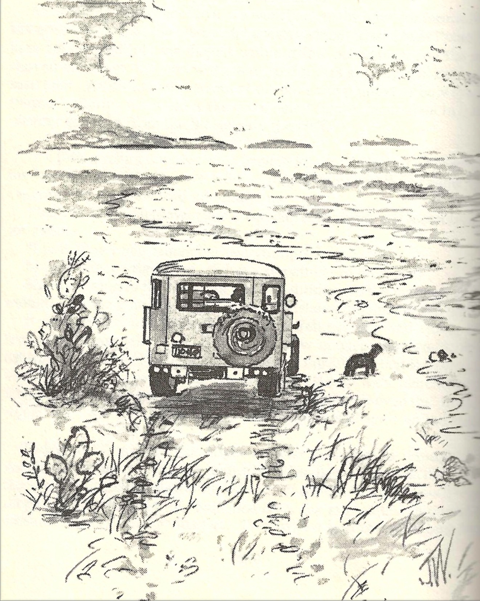 Ben Hunter The Baja Feeling