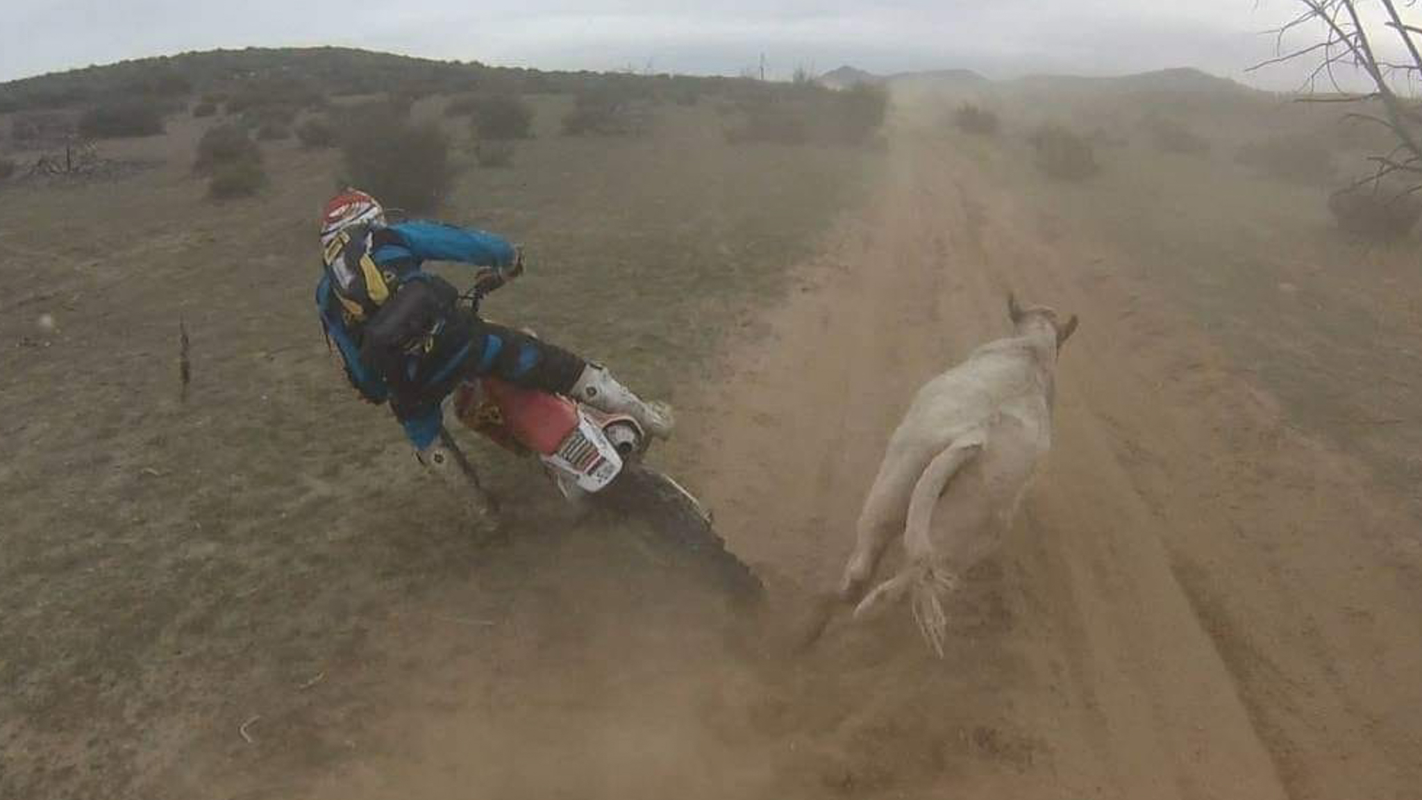 The Christian Brothers Motorsports team celebrates