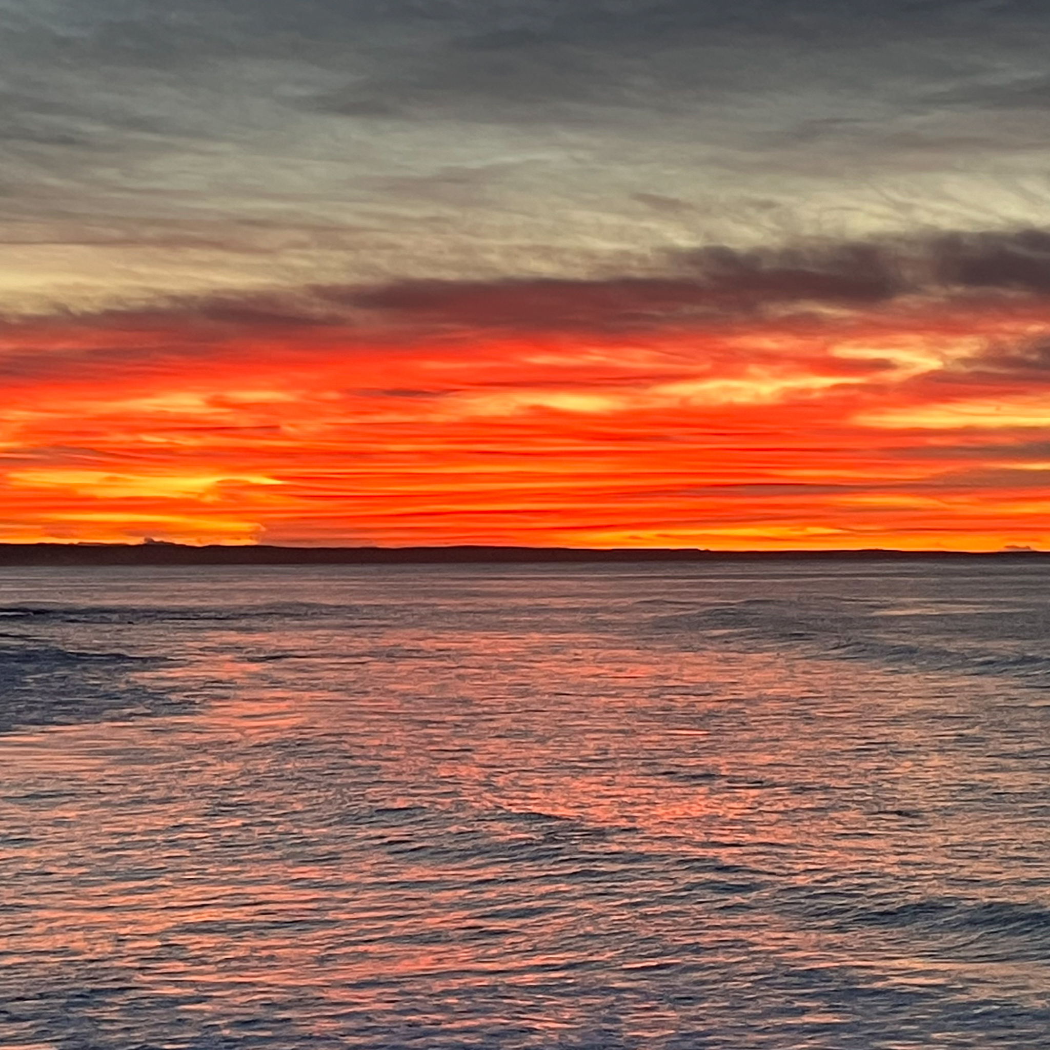 Jorge Macfarland Baja