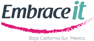 embrace it logo