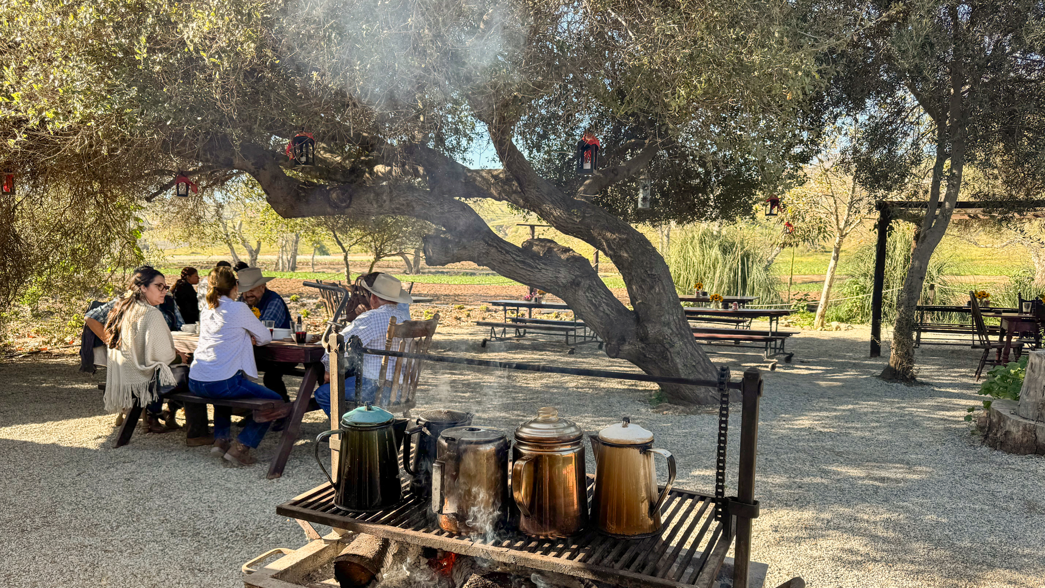 Aromas & Encino Restaurant Ruta de Medano Baja