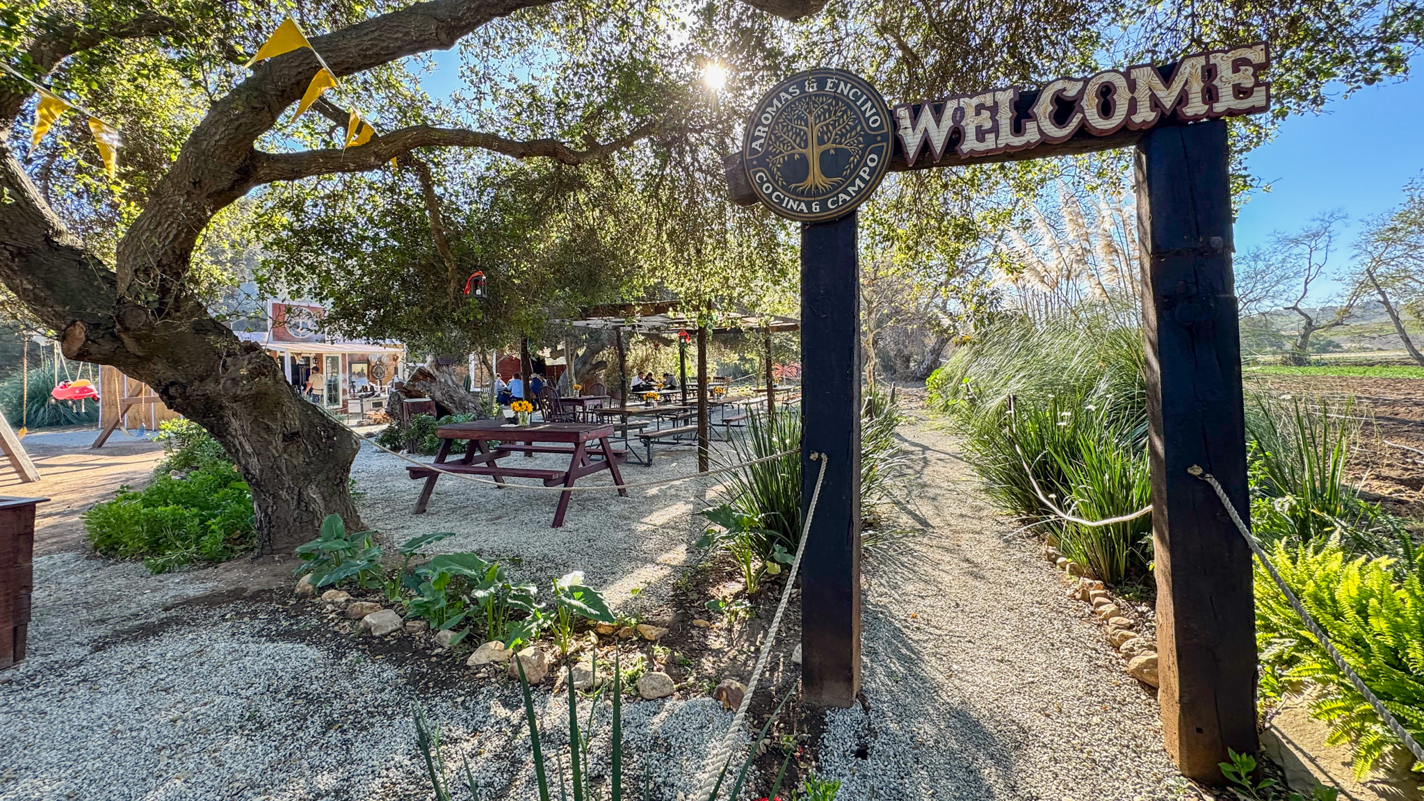 Aromas & Encino Restaurant Ruta de Medano Baja