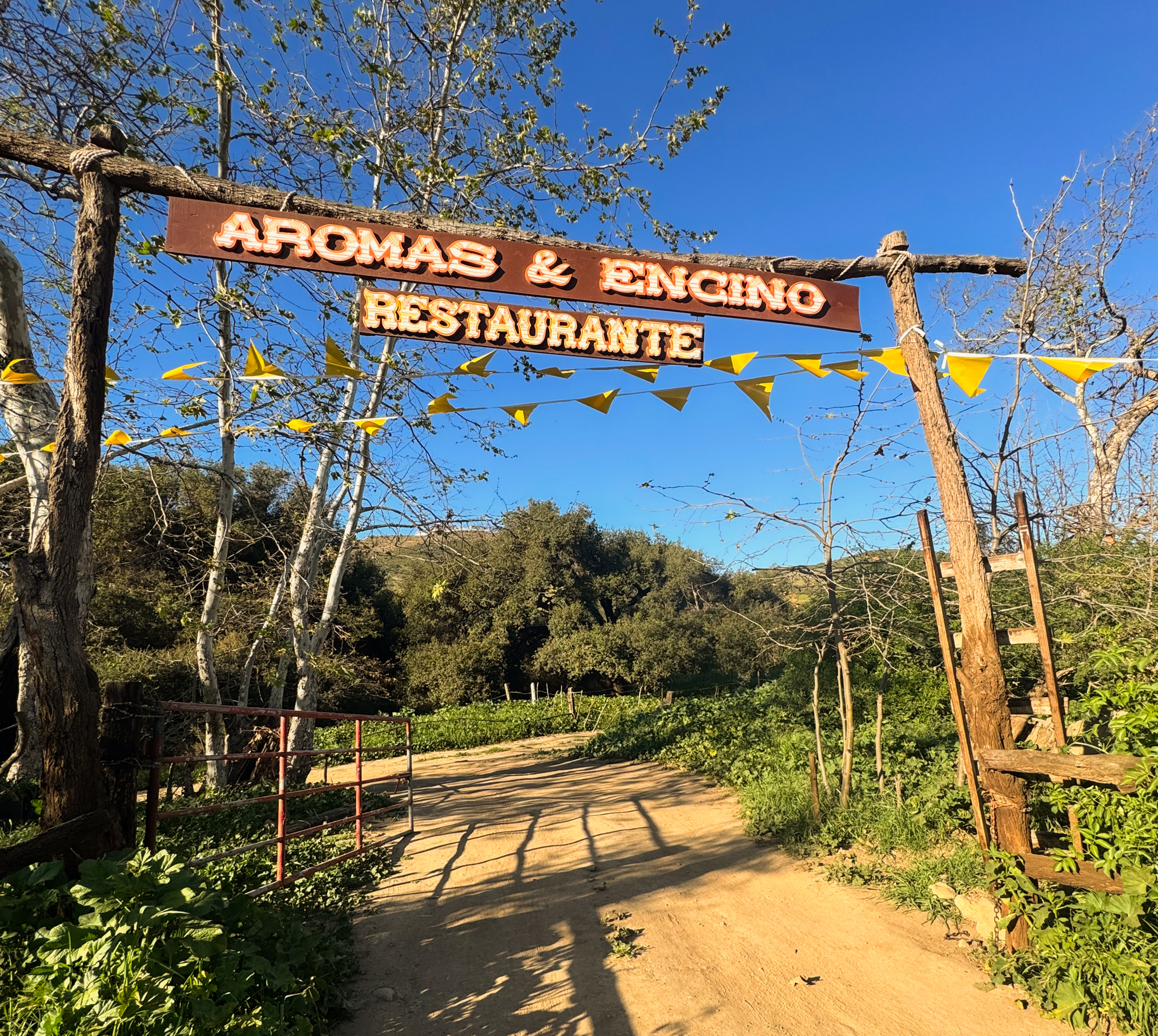 Aromas & Encino Restaurant Ruta de Medano Baja