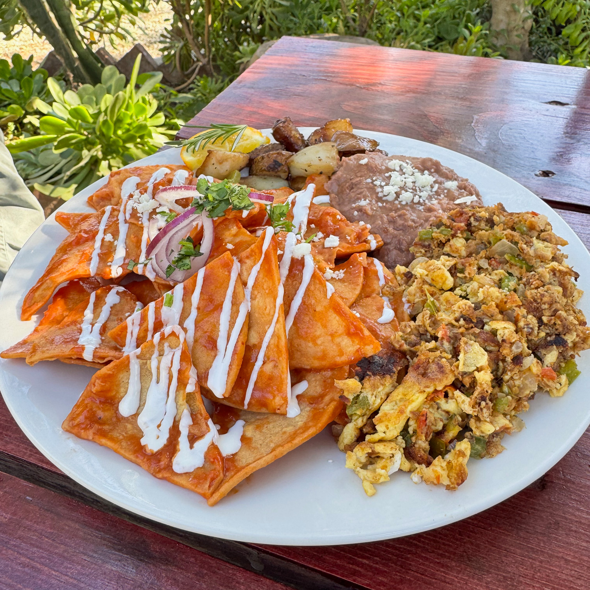 Aromas & Encino Restaurant Ruta de Medano Baja