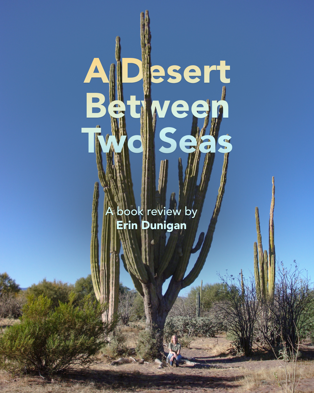 A Desert Between Two Seas