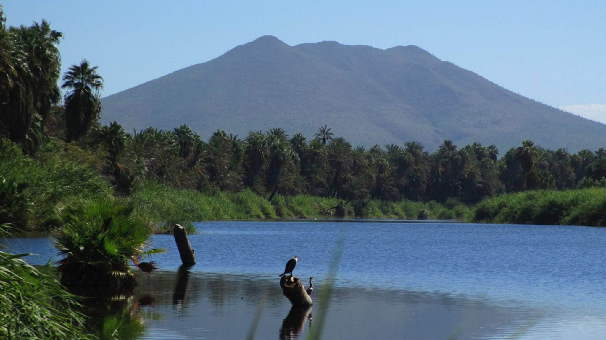 San Ignacio, Baja California Sur