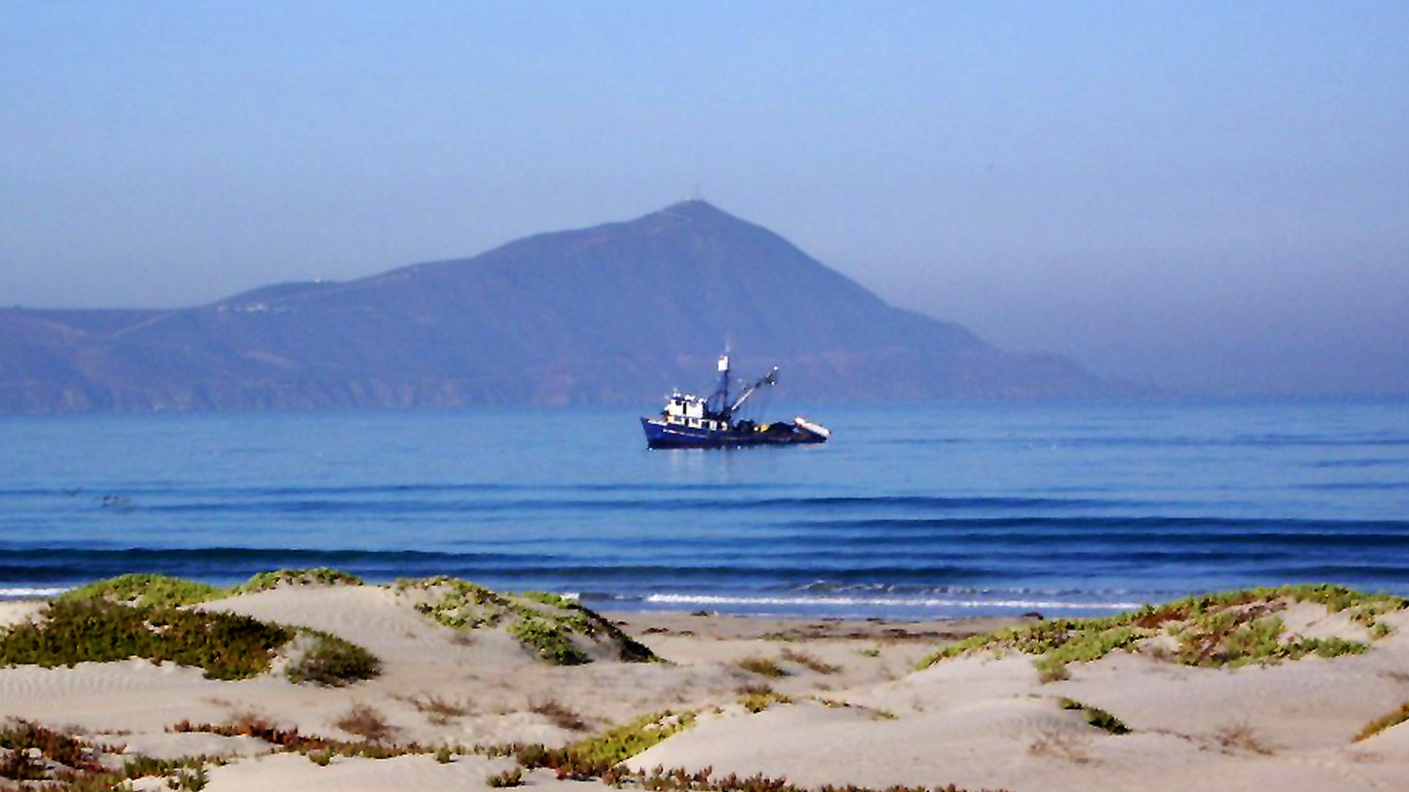 Bait Seiner near Punta Banda Baja